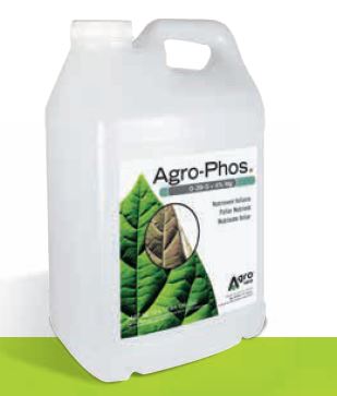 agro phos 100