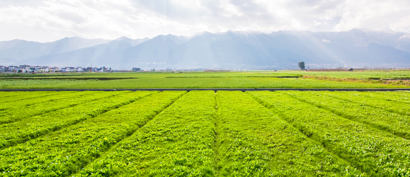 Productos FERTIBALANCE