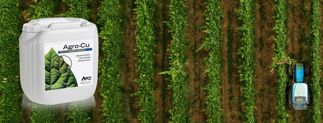 Agro-Cu es un nutrimento foliar líquido rico en cobre, con un apoyo de nitrógeno, pensado especialmente para prevenir y corregir las carencias de cobre. 
